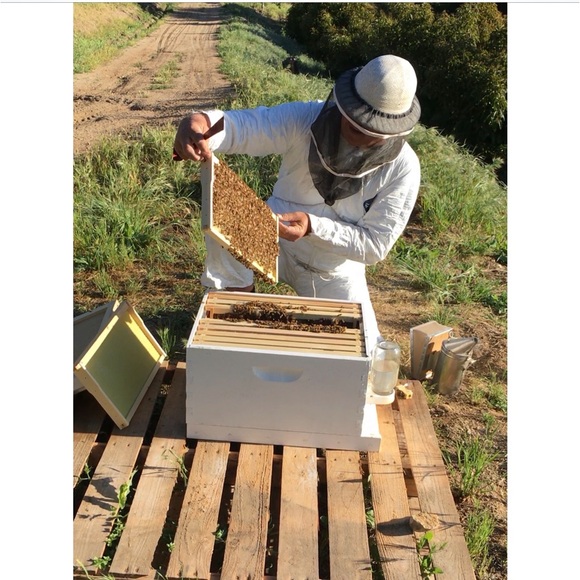 🌻 Posh Ambassador 🌻 - Picture 7 of 13